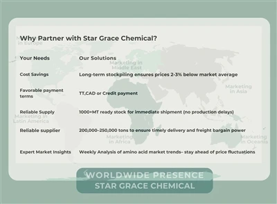 Cégünk rövid bevezetése#Star Grace