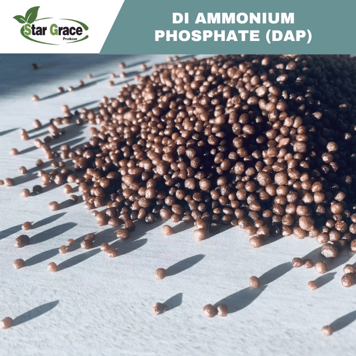 DAP Fertilizer
